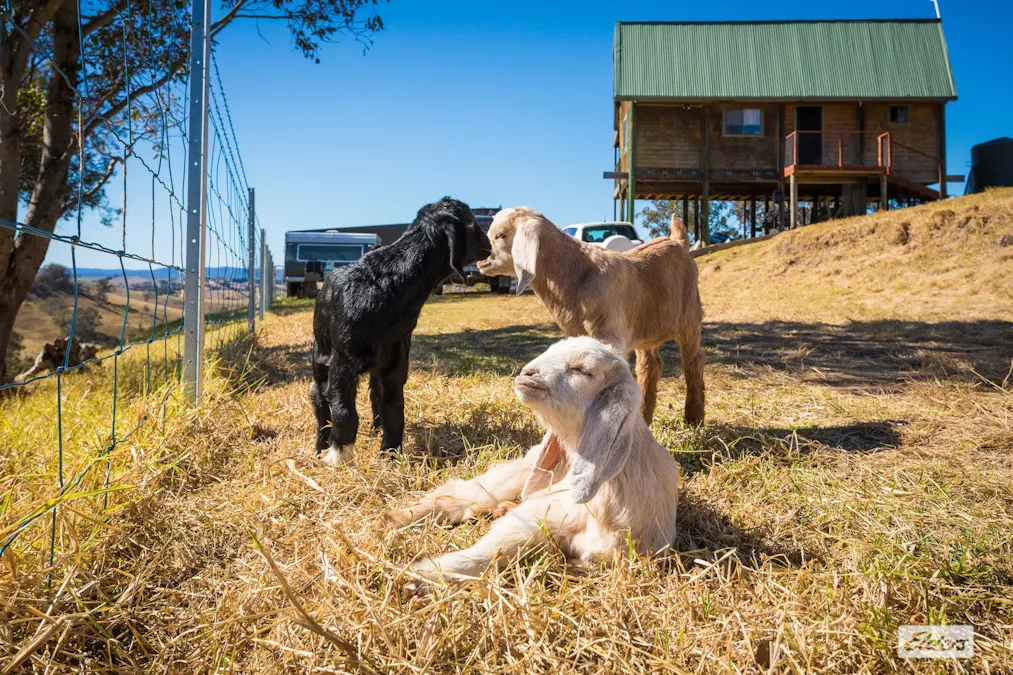 450 Tantawangalo Mountain Road, Candelo, NSW, 2550 - Image 32