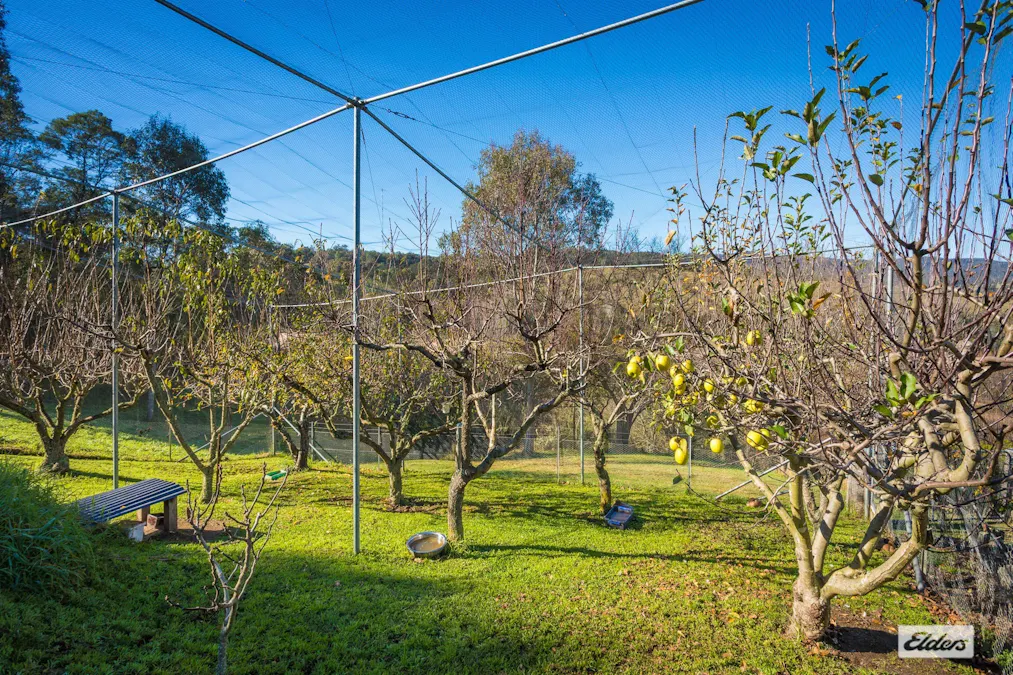 93 Brianderry Road, Buckajo, NSW, 2550 - Image 26