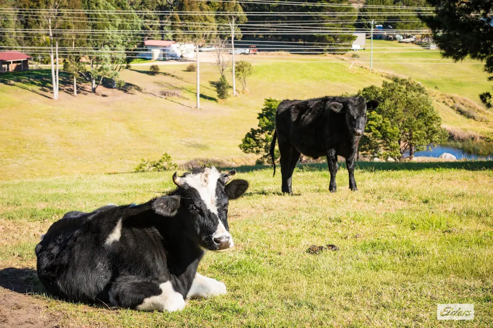 42 Black Range Road, Black Range, NSW, 2550 - Image 23