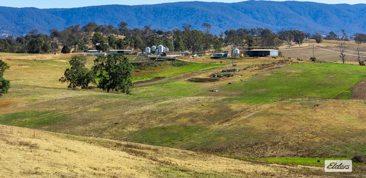 910 West Kameruka Road, Morans Crossing, NSW, 2550 - Image 18