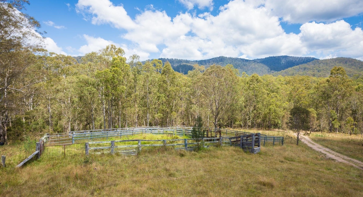 287 Moreings Road, Candelo, NSW, 2550 - Image 15