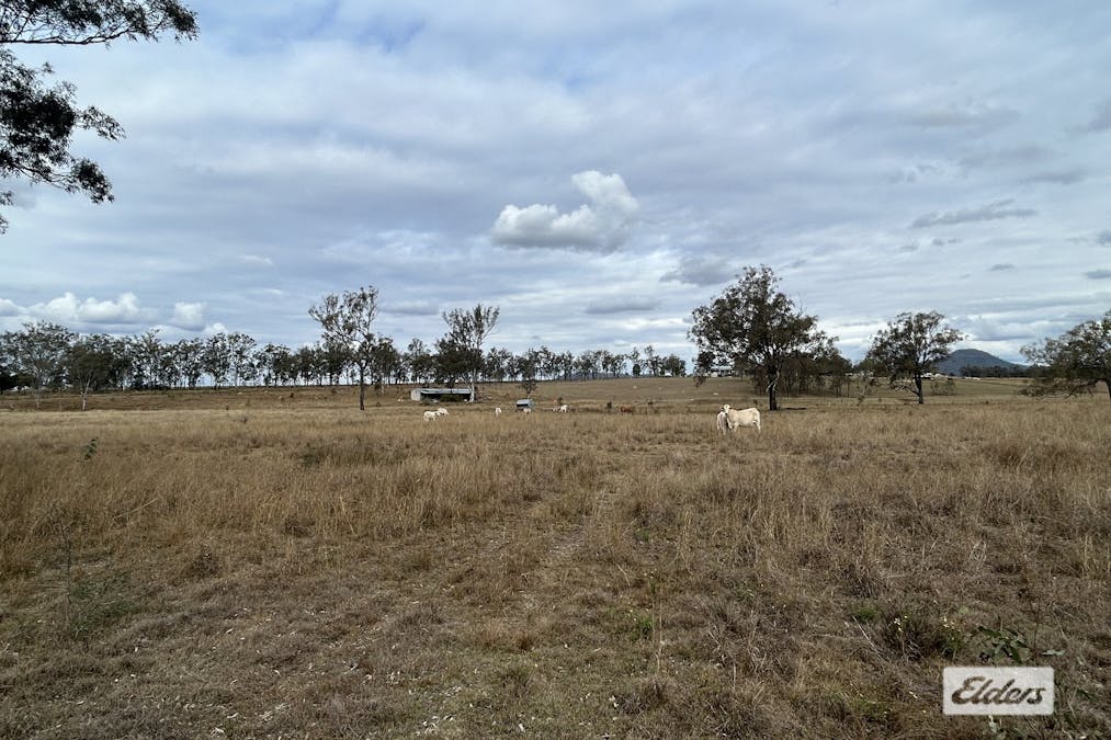 1535 Grandchester-Mount Mort Road, Mount Mort, QLD, 4340 - Image 8