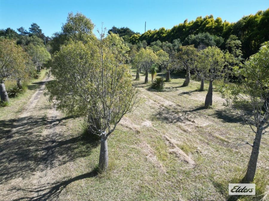 9 Sertic Road, Laidley, QLD, 4341 - Image 5