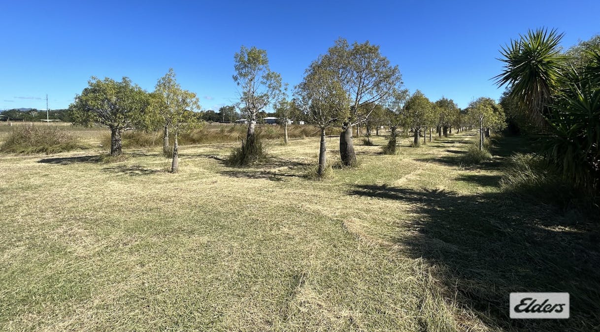 9 Sertic Road, Laidley, QLD, 4341 - Image 6