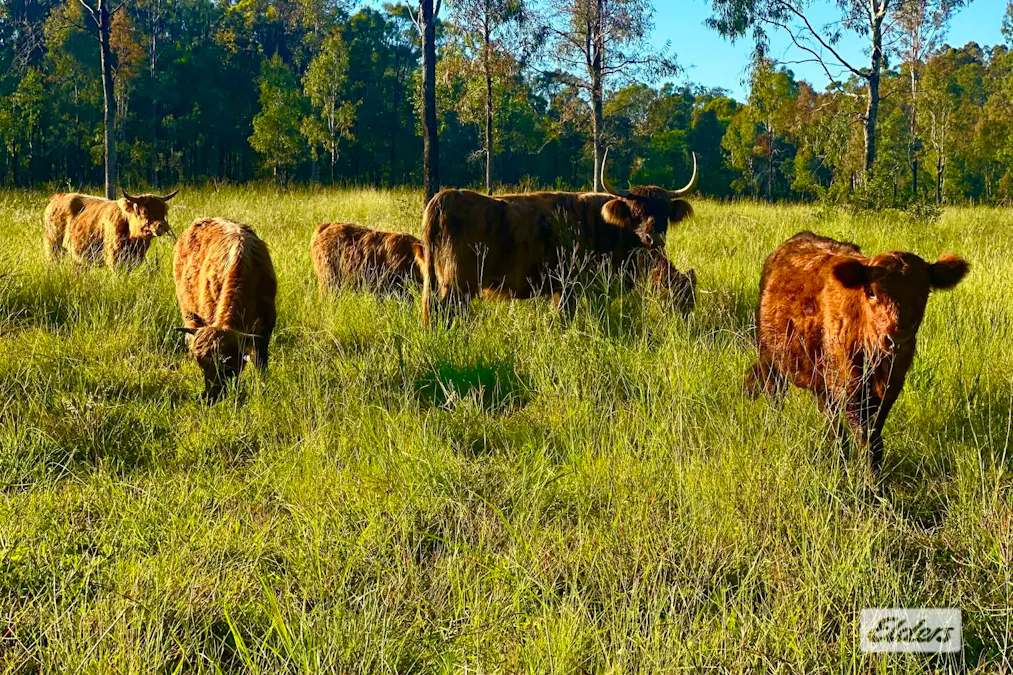 108/Brennan Road, Calvert, QLD, 4340 - Image 11