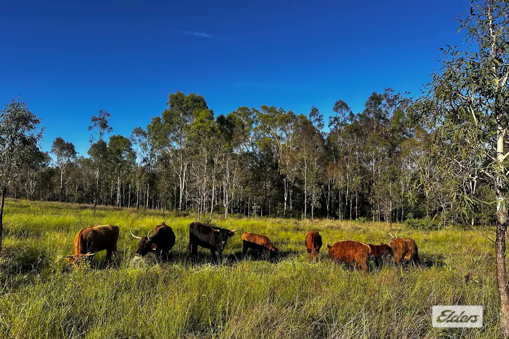 108/Brennan Road, Calvert, QLD, 4340 - Image 1