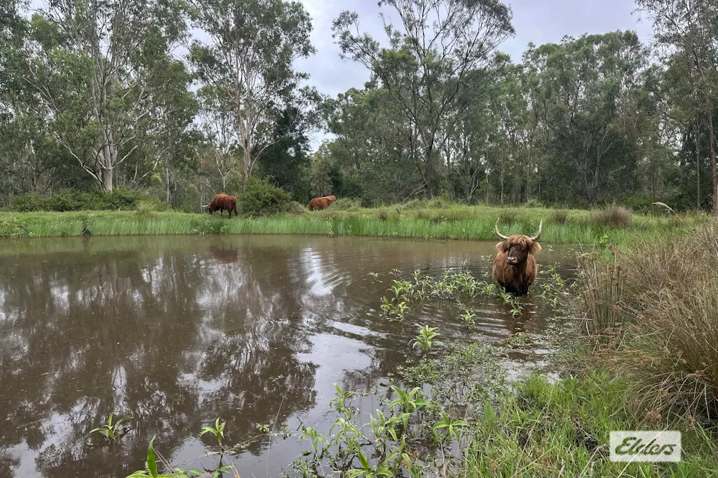 108/Brennan Road, Calvert, QLD, 4340 - Image 12