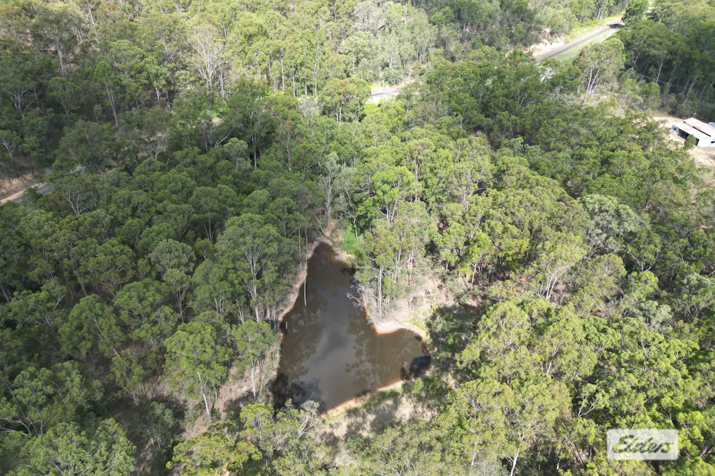 3/Ryan Road, Laidley, QLD, 4341 - Image 9