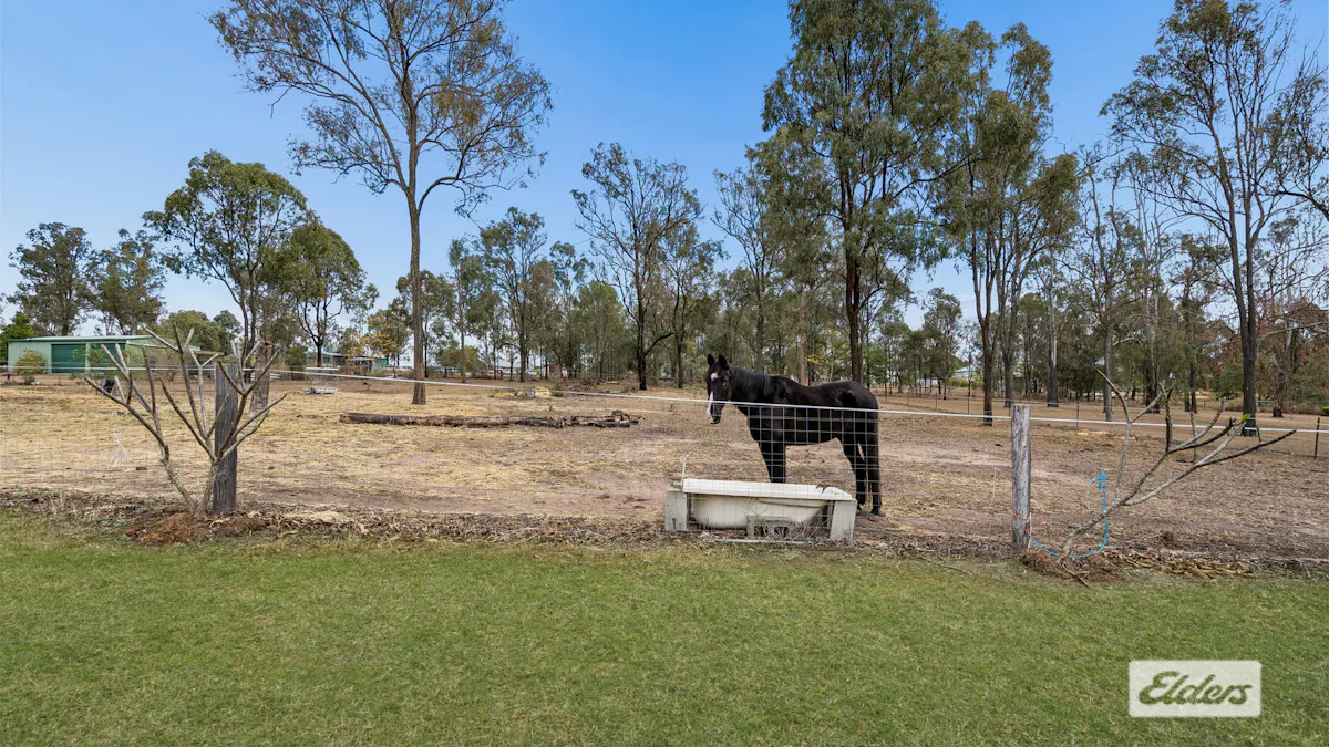 3 Hanlon Court — photo 19 of 25