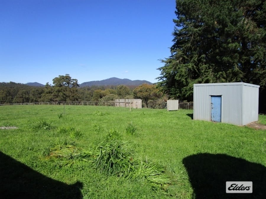 175 Allison Road, North Motton, TAS, 7315 - Image 5