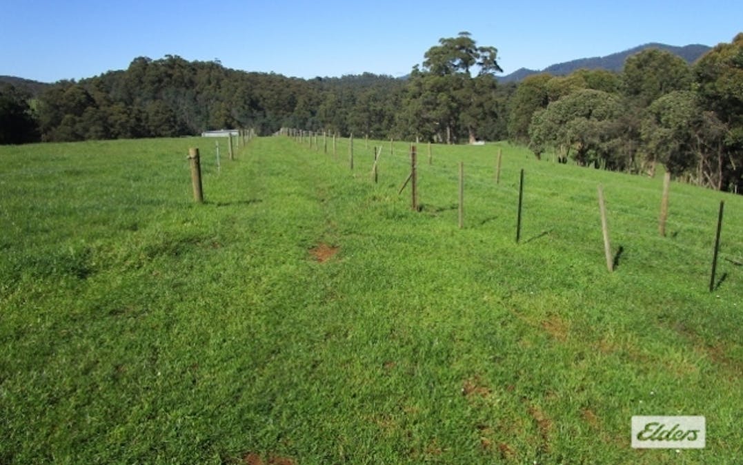 175 Allison Road, North Motton, TAS, 7315 - Image 9