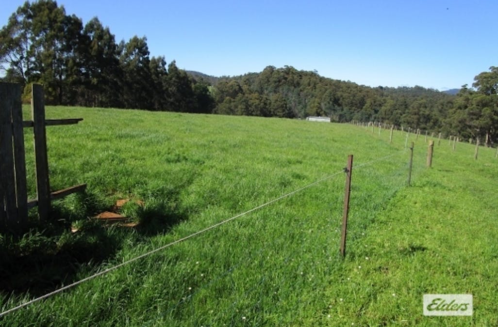 175 Allison Road, North Motton, TAS, 7315 - Image 10