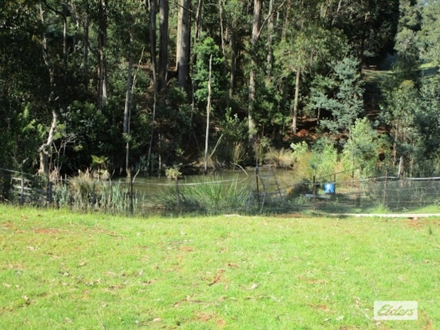 175 Allison Road, North Motton, TAS, 7315 - Image 3