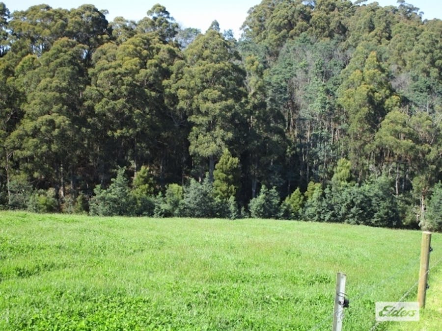 175 Allison Road, North Motton, TAS, 7315 - Image 6
