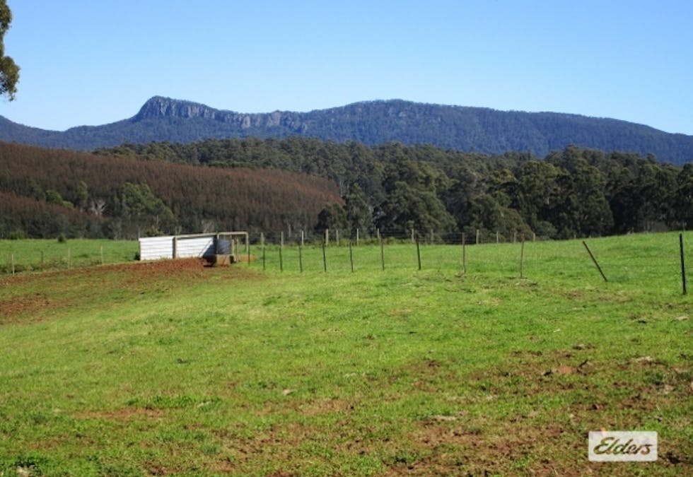 175 Allison Road, North Motton, TAS, 7315 - Image 7