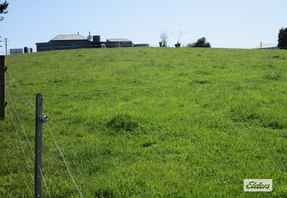 175 Allison Road, North Motton, TAS, 7315 - Image 11