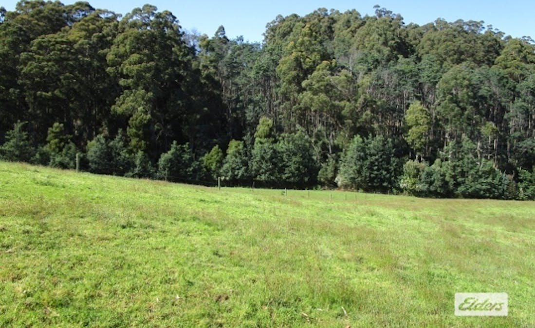 175 Allison Road, North Motton, TAS, 7315 - Image 8