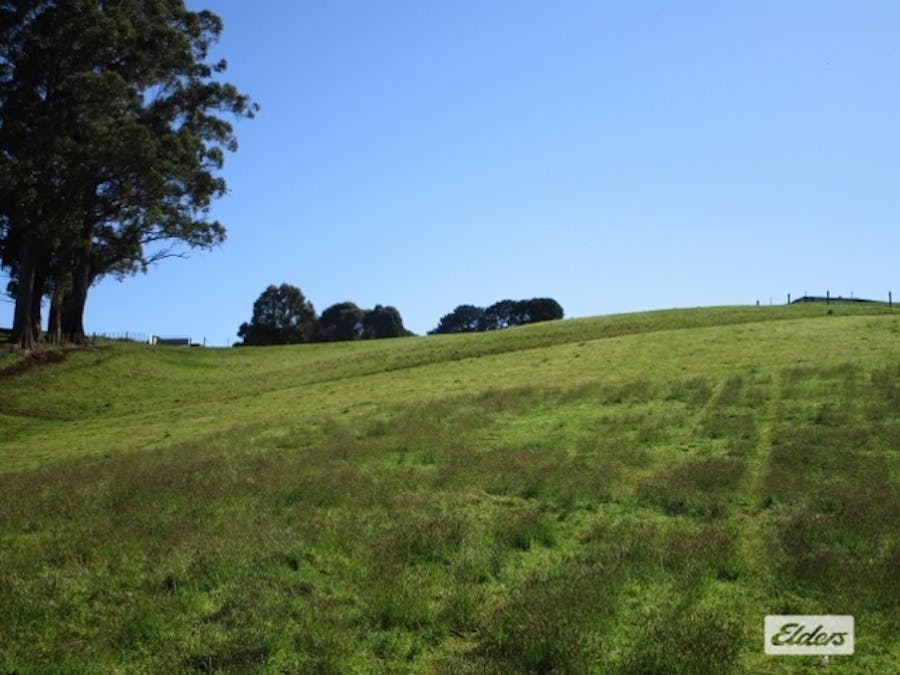 175 Allison Road, North Motton, TAS, 7315 - Image 14