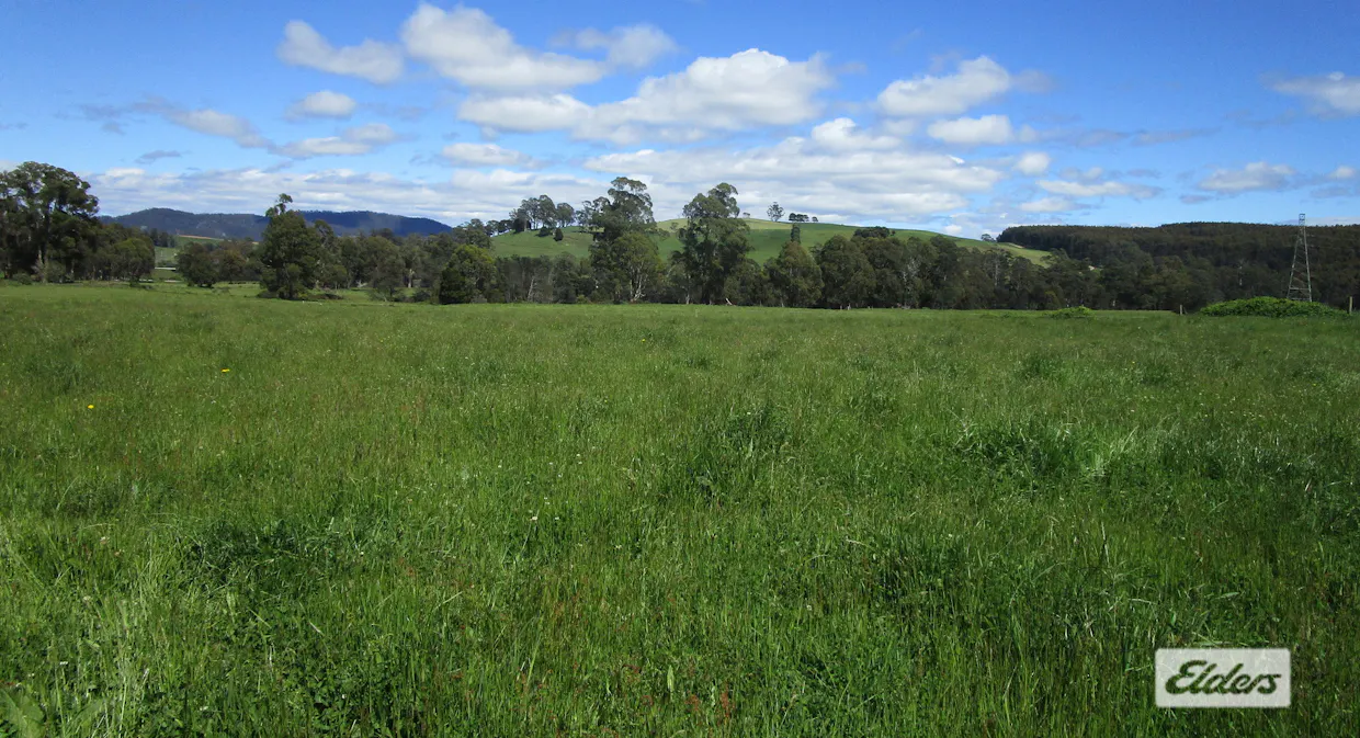 West Nook Road, Nook, TAS, 7306 - Image 5