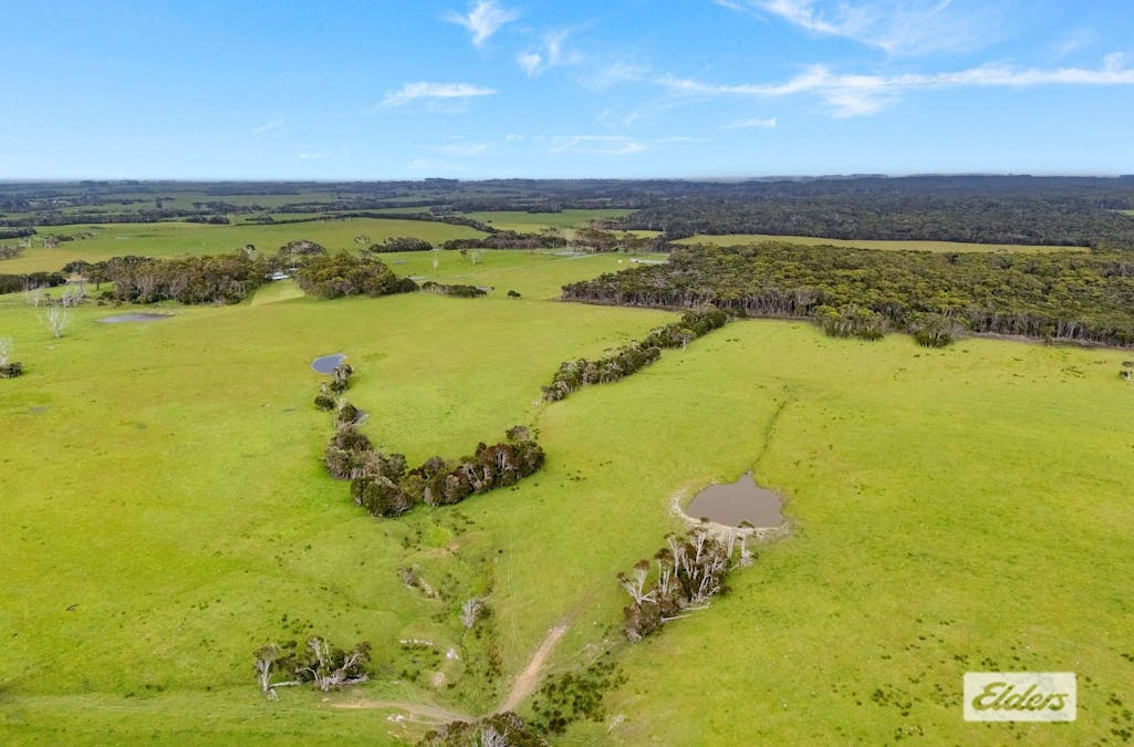 Millwood Road, Naracoopa, TAS, 7256 - Image 11