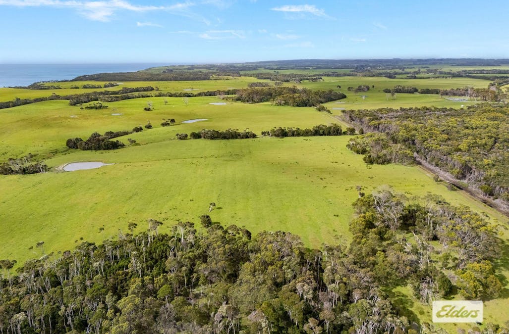Millwood Road, Naracoopa, TAS, 7256 - Image 13