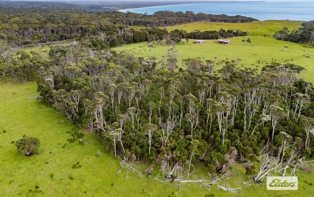 Millwood Road, Naracoopa, TAS, 7256 - Image 20