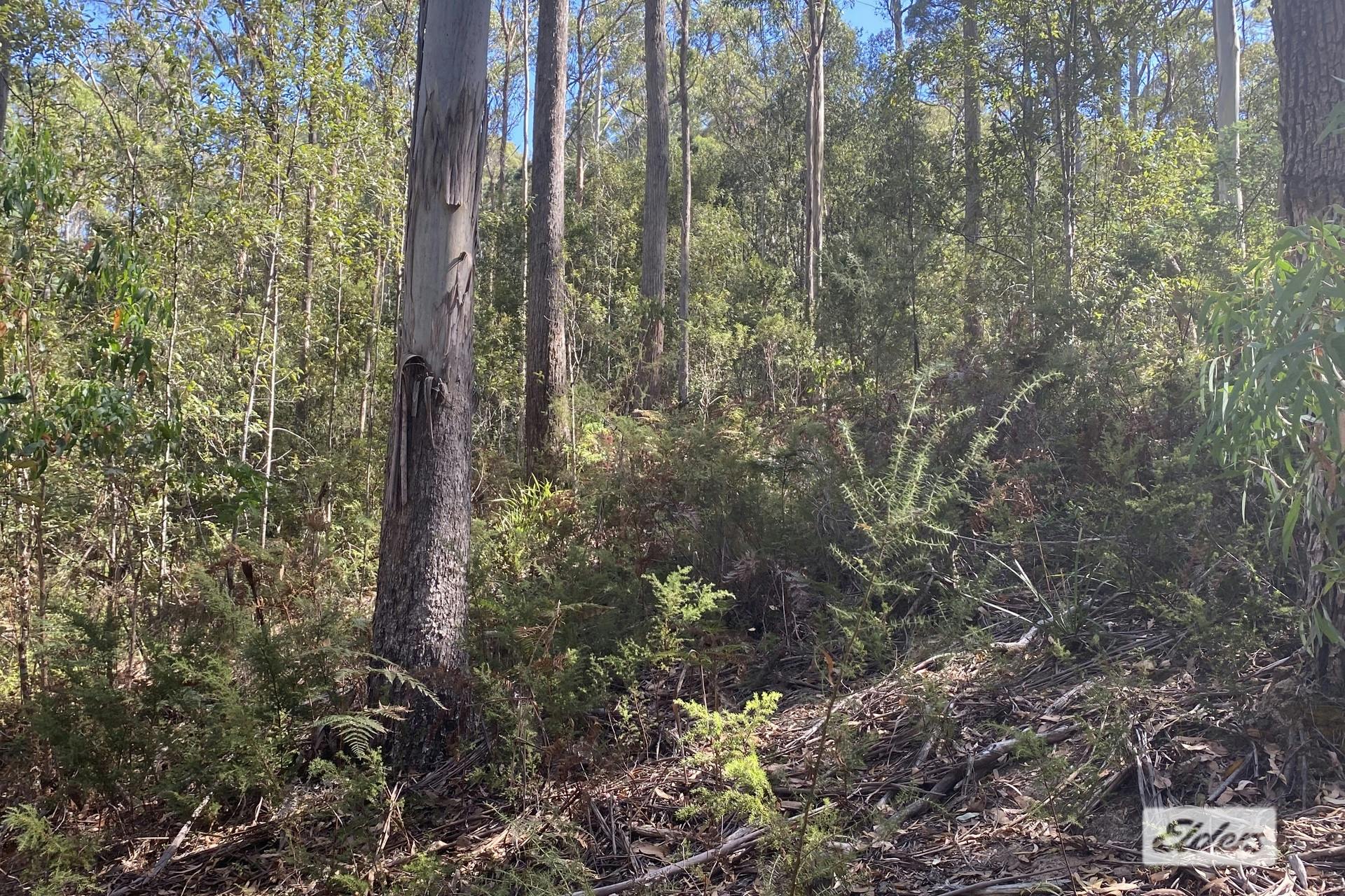 1172 Wilmot Road, Kindred, TAS, 7310 Sold Elders Real Estate