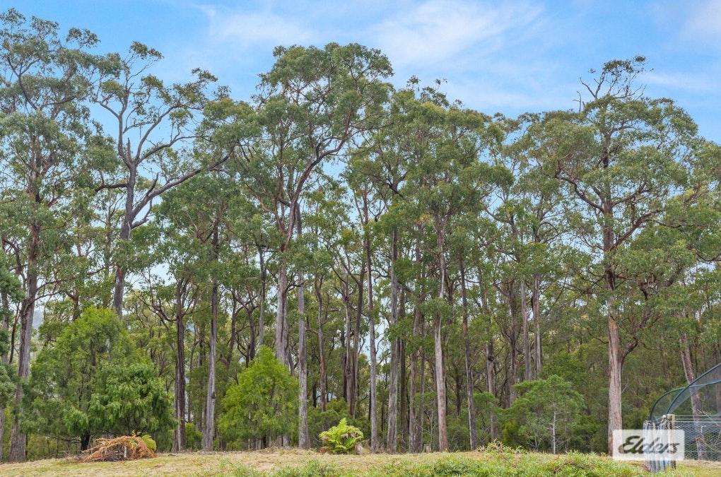 90 Archers Road, Lower Wilmot, TAS, 7310 - Image 26