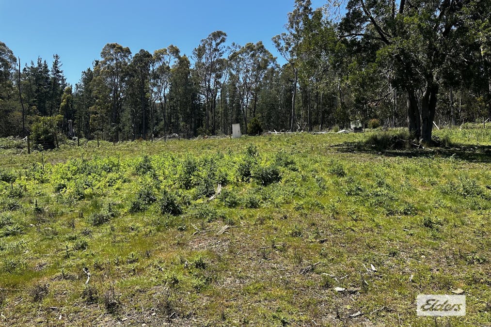 Dulverton Road, Railton, TAS, 7305 - Image 2