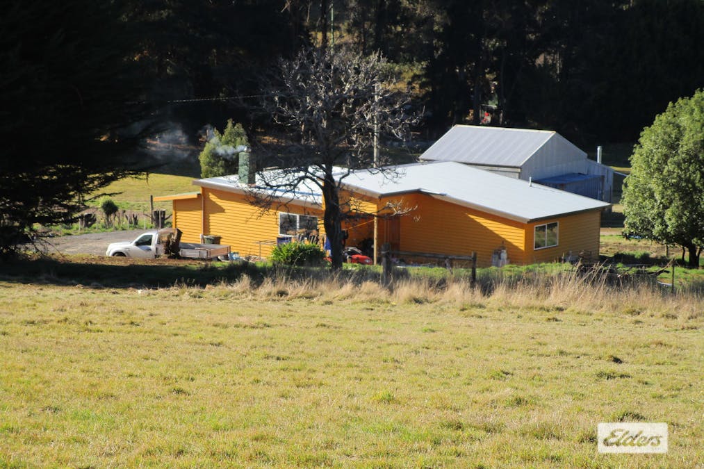 1951 Wilmot Road, Lower Wilmot, TAS, 7310 - Image 7