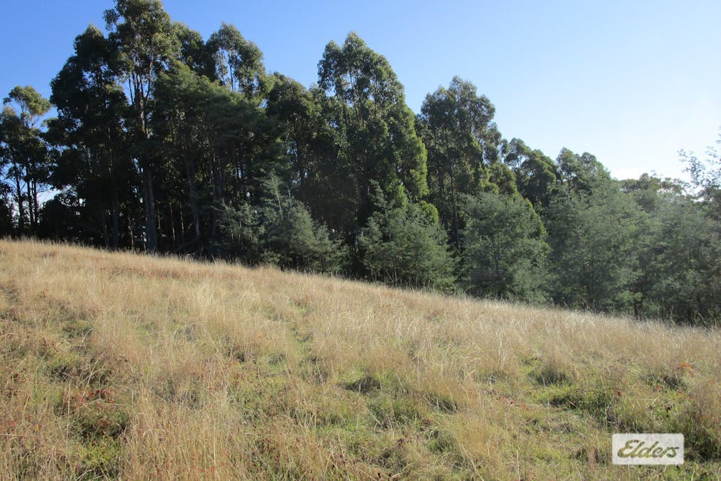 1951 Wilmot Road, Lower Wilmot, TAS, 7310 - Image 4