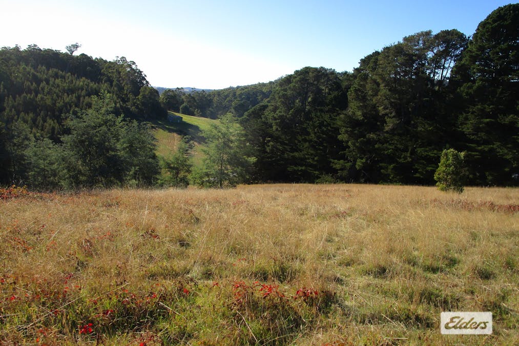 1951 Wilmot Road, Lower Wilmot, TAS, 7310 - Image 6