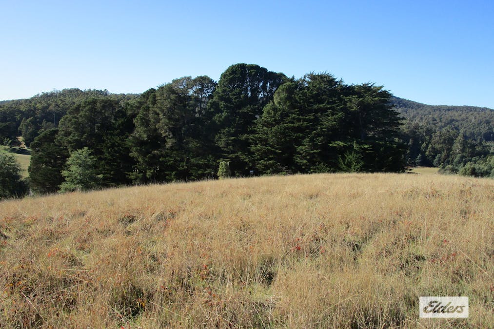 1951 Wilmot Road, Lower Wilmot, TAS, 7310 - Image 5