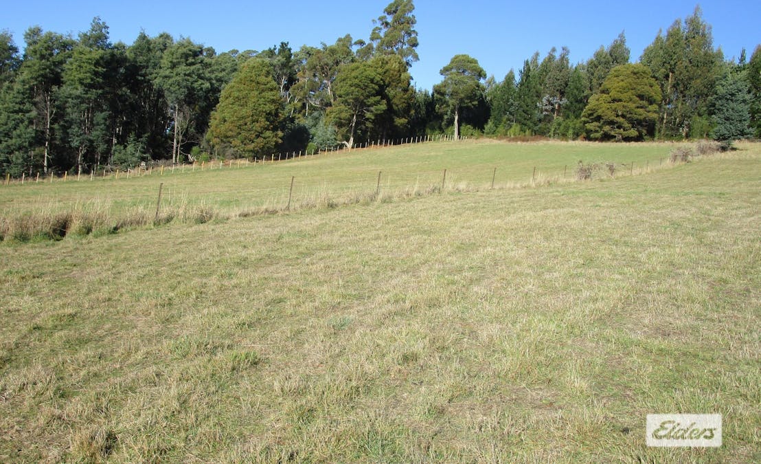 1951 Wilmot Road, Lower Wilmot, TAS, 7310 - Image 3