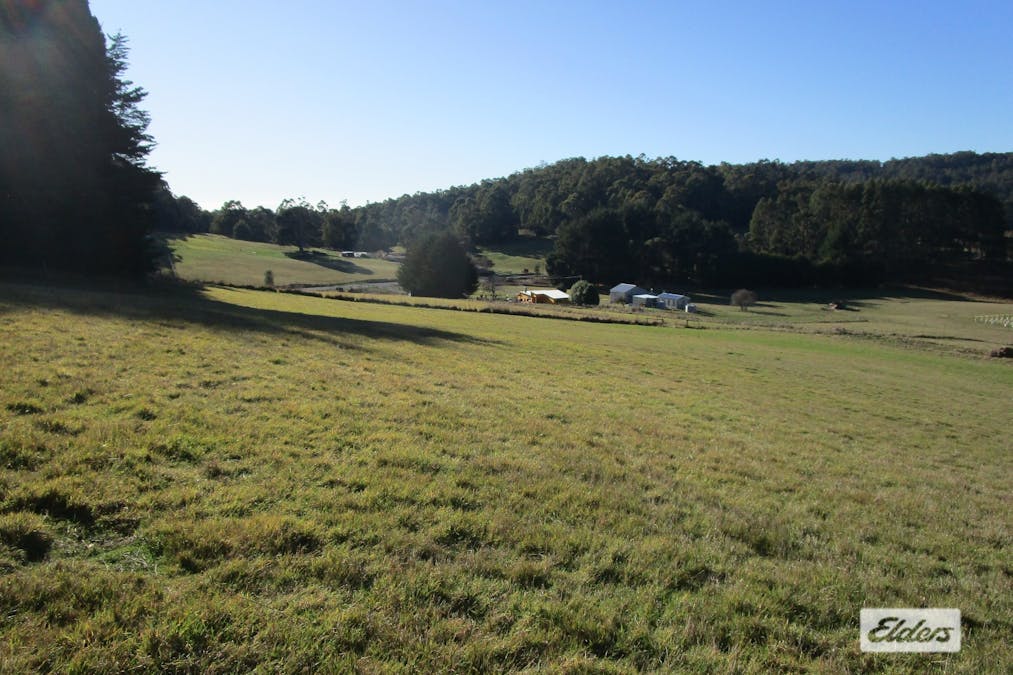 1951 Wilmot Road, Lower Wilmot, TAS, 7310 - Image 2