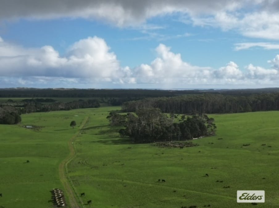 767 Mount Stanley Road, Lymwood, TAS, 7256 - Image 4