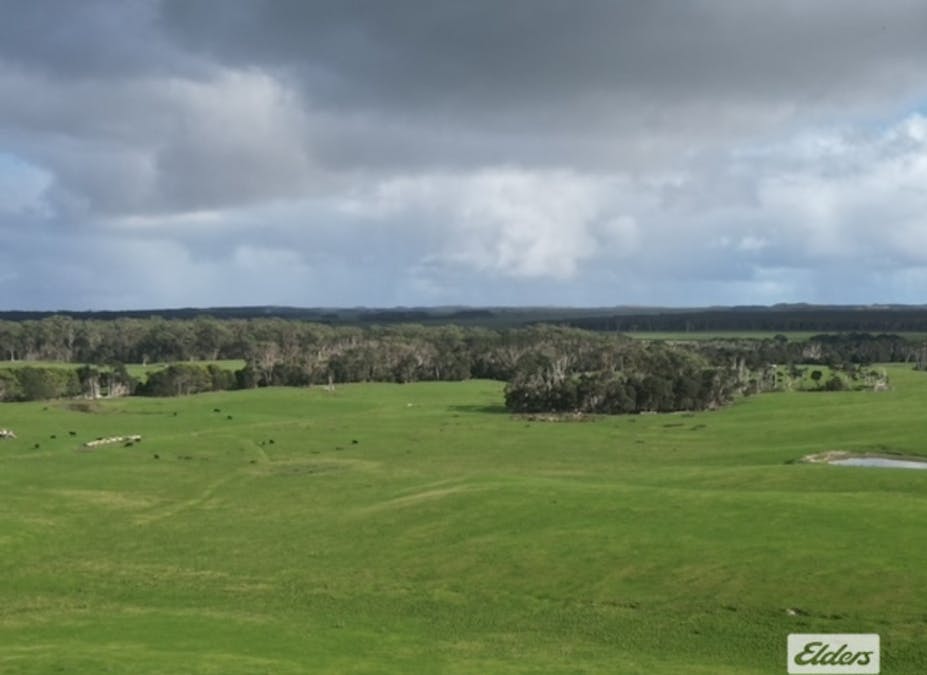 767 Mount Stanley Road, Lymwood, TAS, 7256 - Image 2