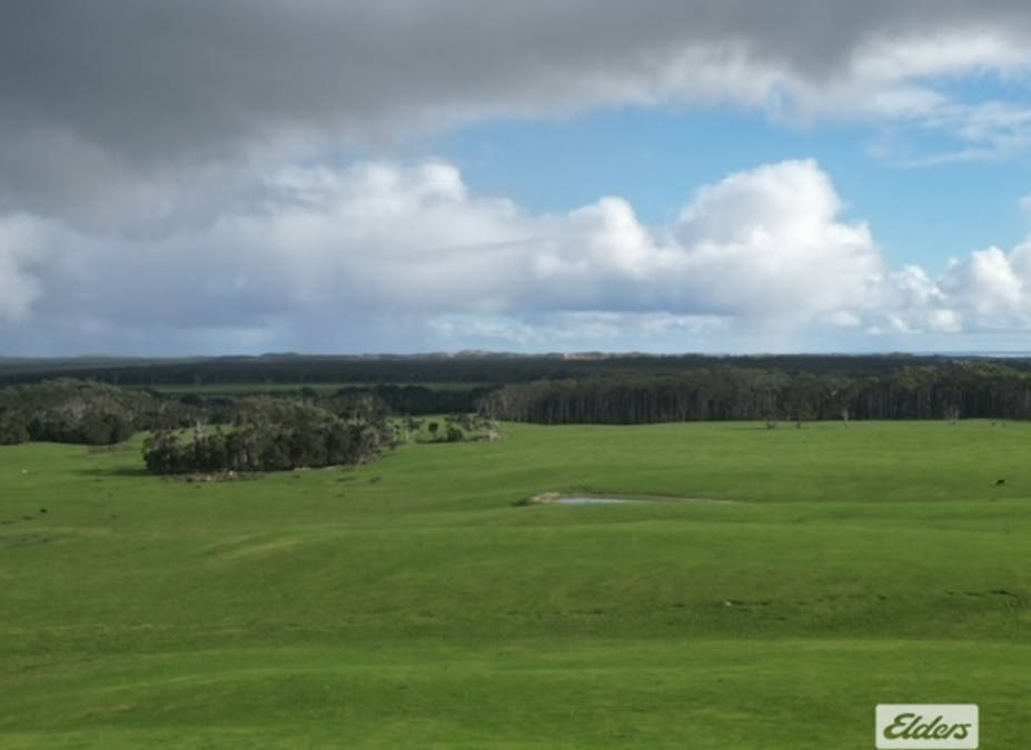 767 Mount Stanley Road, Lymwood, TAS, 7256 - Image 5