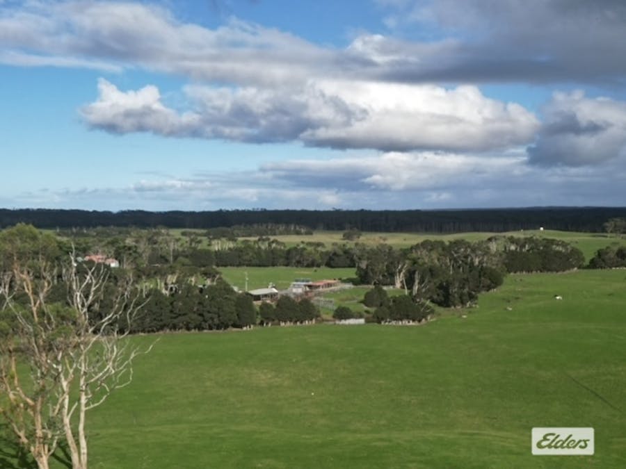 767 Mount Stanley Road, Lymwood, TAS, 7256 - Image 12
