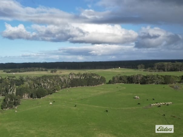 767 Mount Stanley Road, Lymwood, TAS, 7256 - Image 1