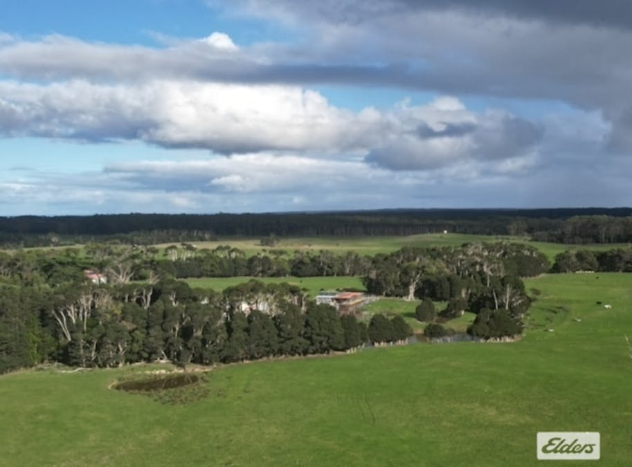 767 Mount Stanley Road, Lymwood, TAS, 7256 - Image 13