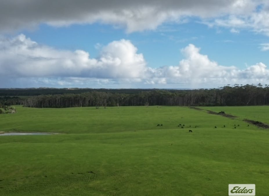 767 Mount Stanley Road, Lymwood, TAS, 7256 - Image 3