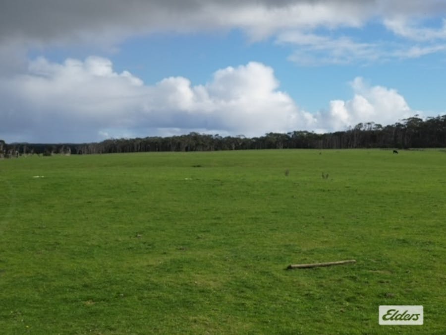 767 Mount Stanley Road, Lymwood, TAS, 7256 - Image 7