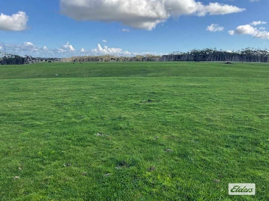 767 Mount Stanley Road, Lymwood, TAS, 7256 - Image 9
