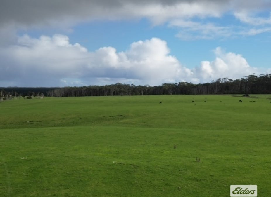 767 Mount Stanley Road, Lymwood, TAS, 7256 - Image 6