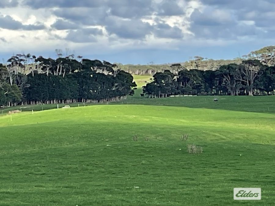 767 Mount Stanley Road, Lymwood, TAS, 7256 - Image 11