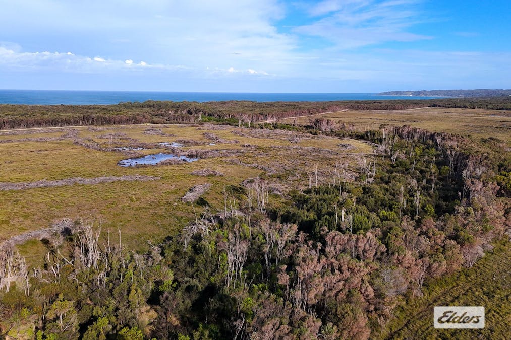Sea Elephant Road, Sea Elephant, TAS, 7256 - Image 4