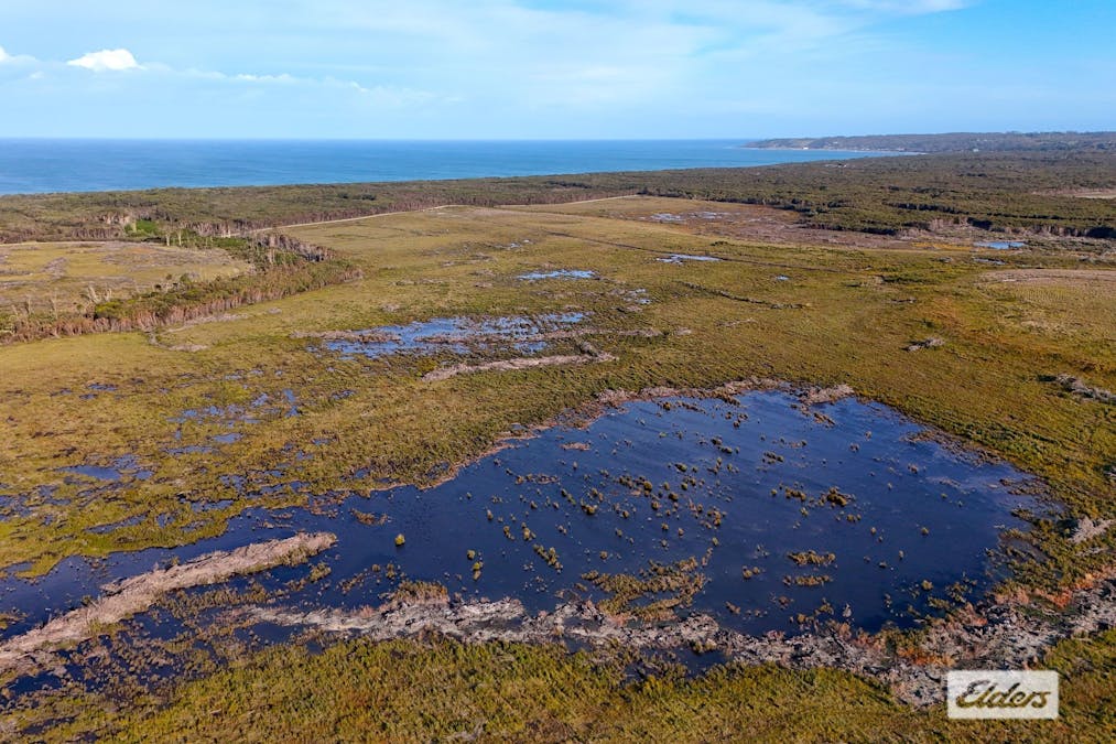 Sea Elephant Road, Sea Elephant, TAS, 7256 - Image 7