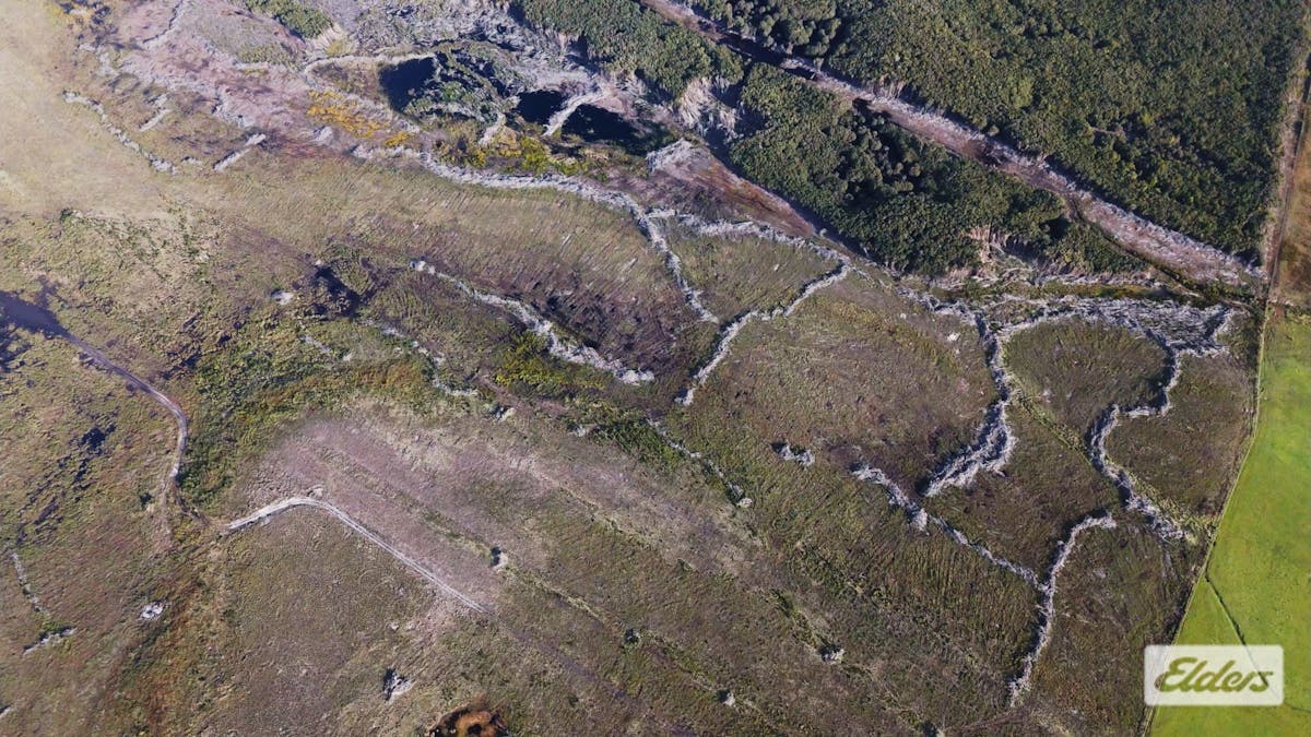 Sea Elephant Road, Sea Elephant, TAS, 7256 - Image 8