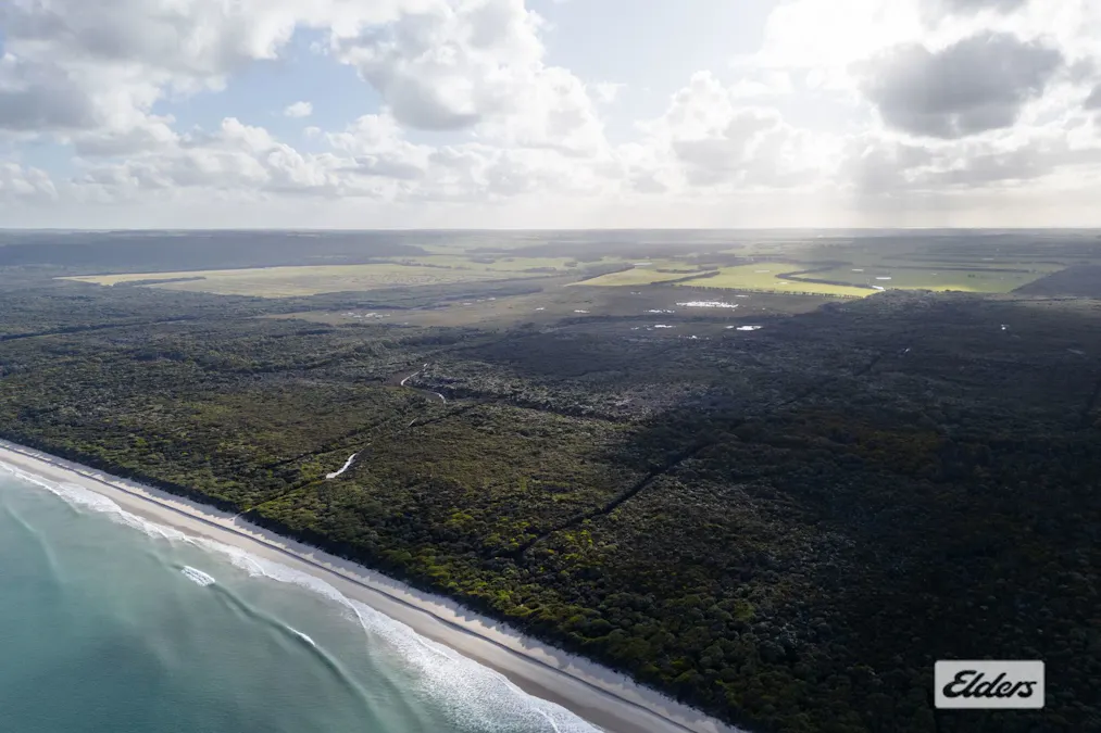 Sea Elephant Road, Sea Elephant, TAS, 7256 - Image 12